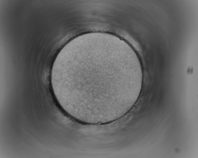 X0000101190009200807251013