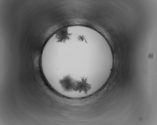 X0000101190010200807251013