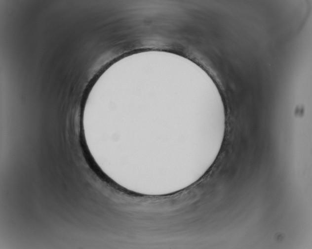 X0000101190011200807251013