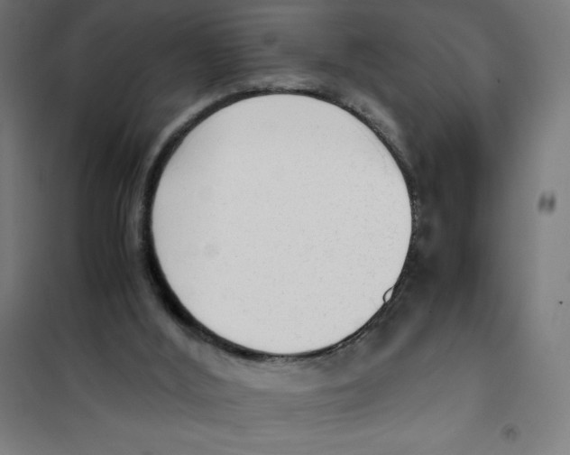 X0000101190012200807251013