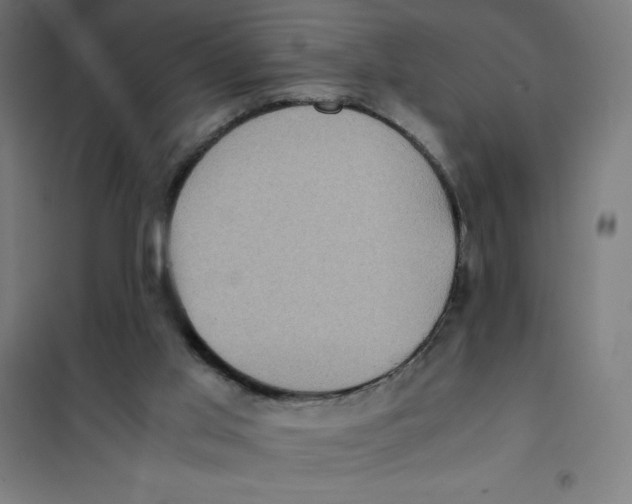 X0000101190013200807251013