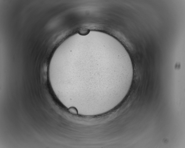 X0000101190014200807251013