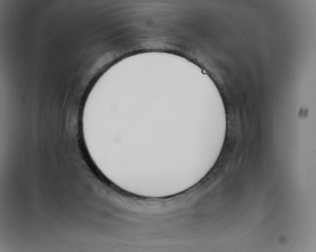X0000101190015200807251013
