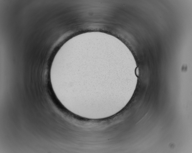 X0000101190016200807251013