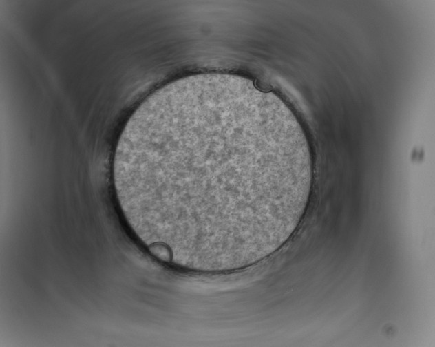 X0000101190017200807251013