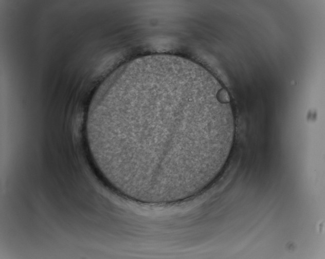 X0000101190018200807251013