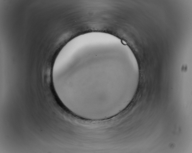 X0000101190019200807251013