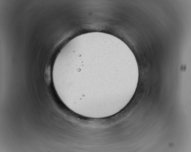 X0000101190020200807251013