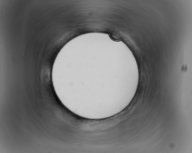 X0000101190021200807251013