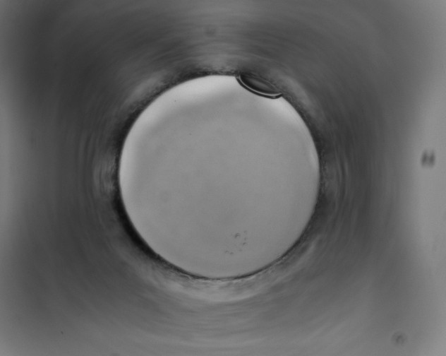 X0000101190023200807251013