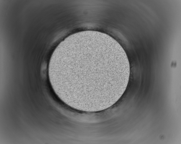 X0000101190024200807251013