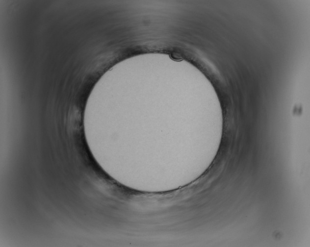 X0000101190025200807251013