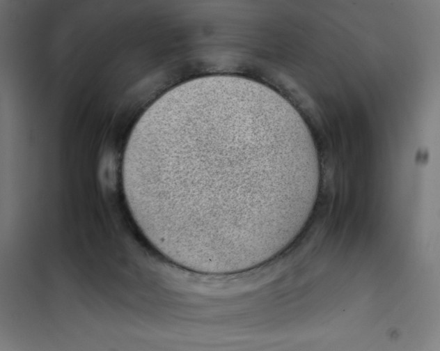 X0000101190026200807251013