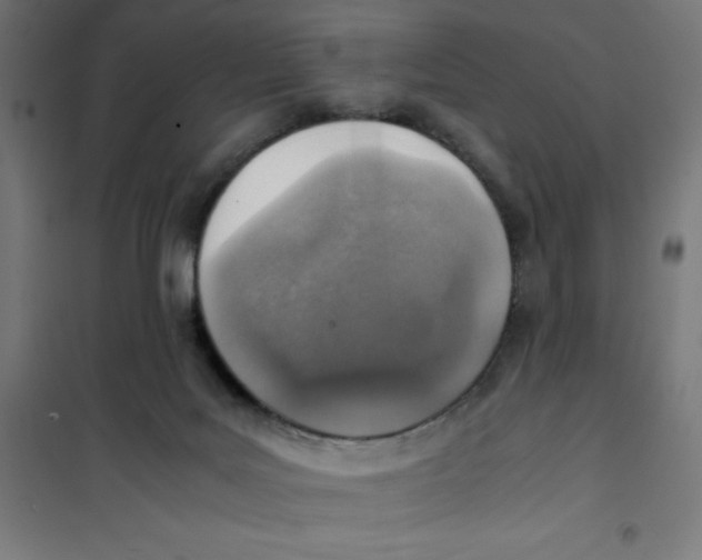 X0000101190027200807251013