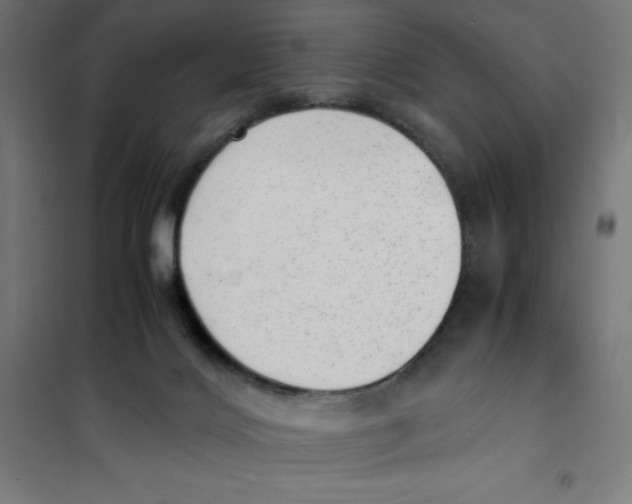 X0000101190028200807251013