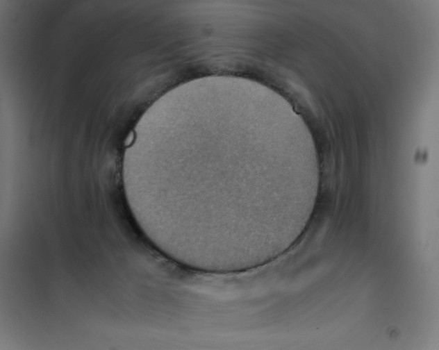 X0000101190029200807251013