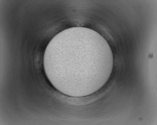 X0000101190030200807251013