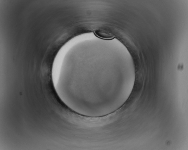 X0000101190031200807251013
