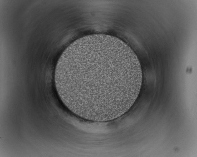 X0000101190032200807251013