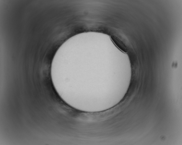 X0000101190033200807251013