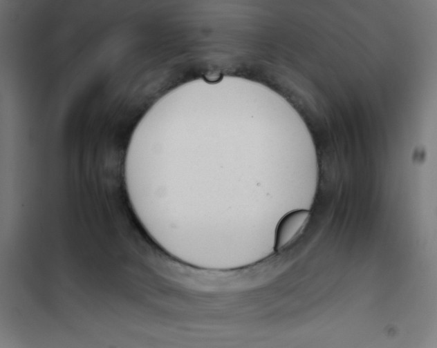 X0000101190034200807251013