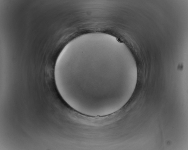 X0000101190035200807251013