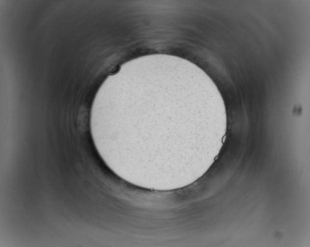 X0000101190036200807251013