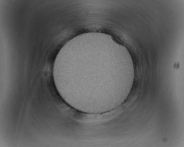 X0000101190037200807251013