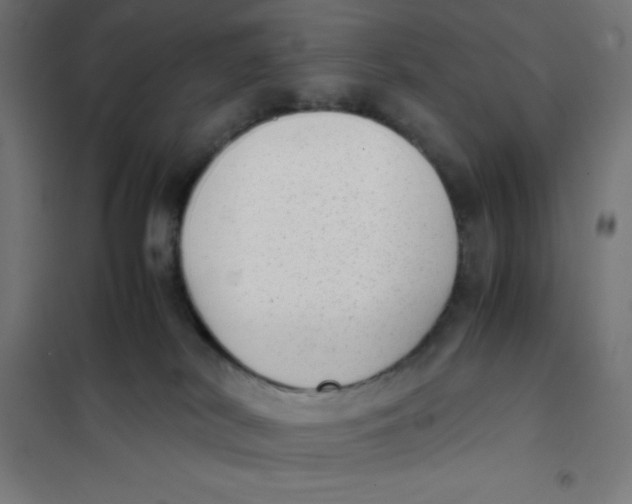 X0000101190038200807251013