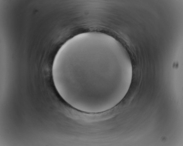 X0000101190039200807251013