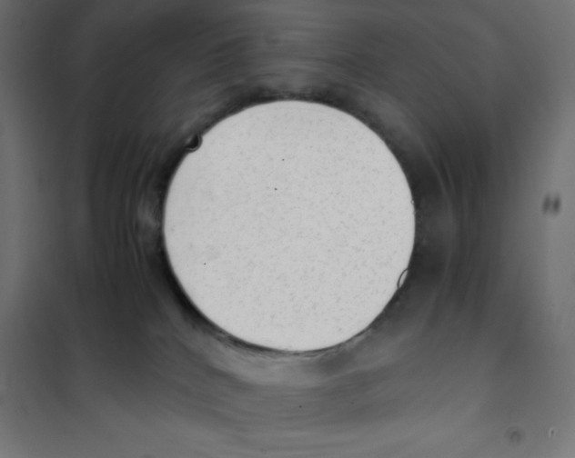 X0000101190040200807251012