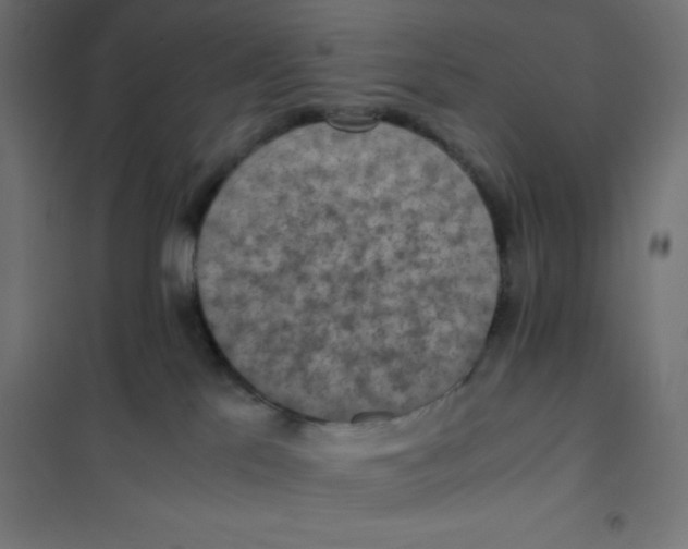 X0000101190041200807251012