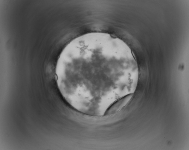 X0000101190043200807251012