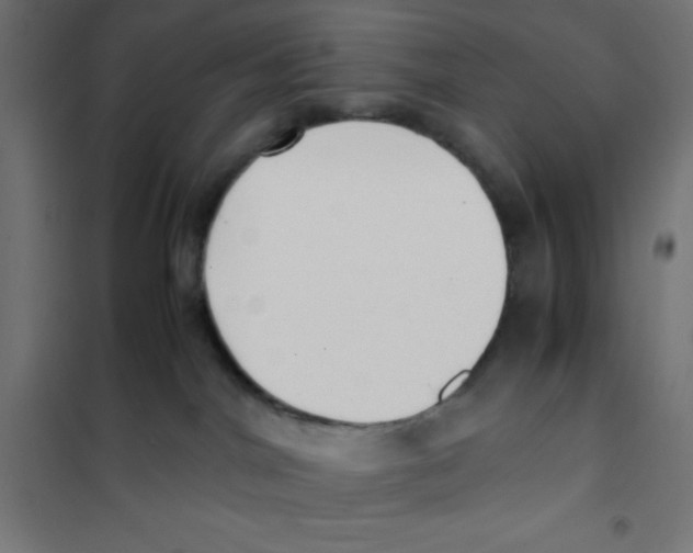 X0000101190044200807251012