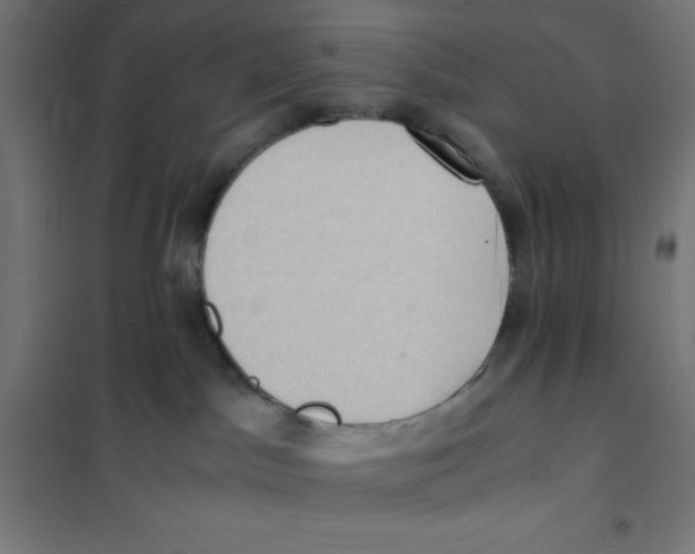 X0000101190045200807251012