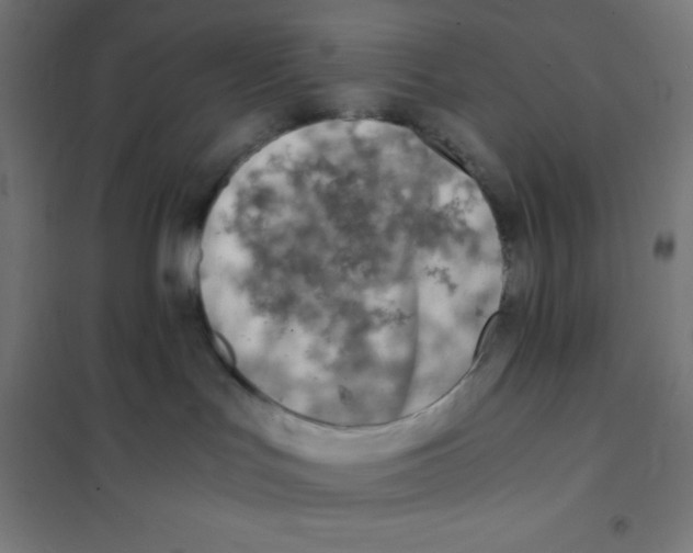 X0000101190047200807251012