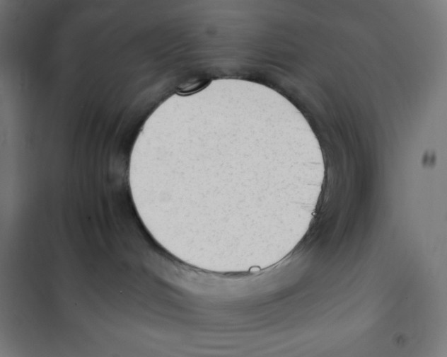 X0000101190048200807251012