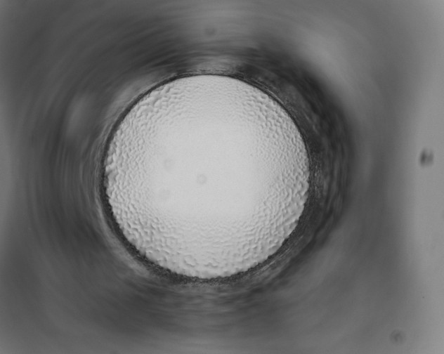 X0000101190049200807251011