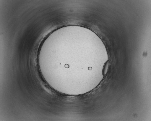 X0000101190050200807251011