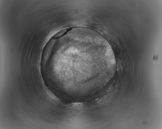 X0000101190052200807251011