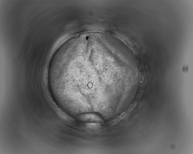 X0000101190053200807251011