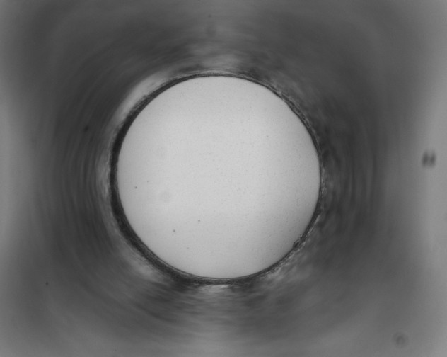 X0000101190054200807251011