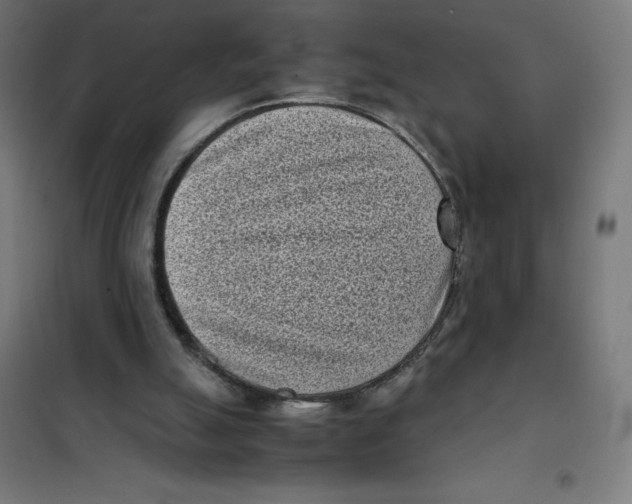 X0000101190055200807251011
