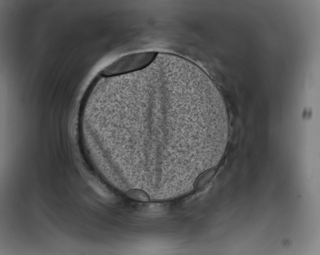X0000101190056200807251011