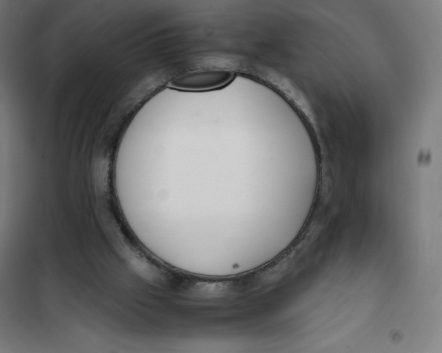 X0000101190057200807251011