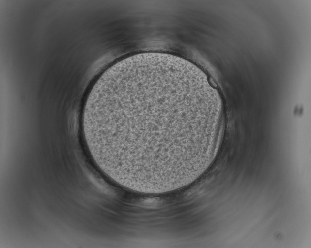 X0000101190059200807251012