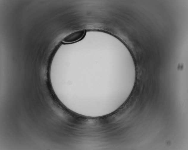 X0000101190060200807251012
