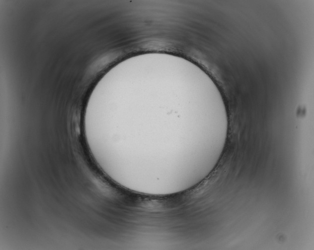 X0000101190062200807251012