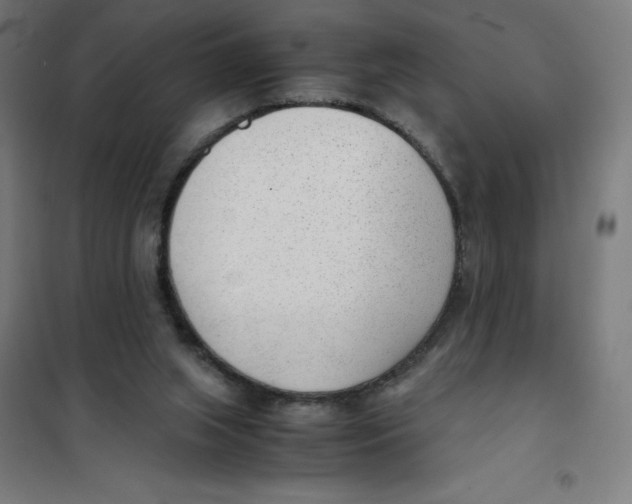 X0000101190063200807251012