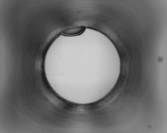 X0000101190064200807251012